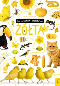 Młodzi przyrodnicy Kolorowa przyroda Żółta Młodzi przyrodnicy Kolorowa przyroda Żółta