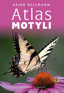 Atlas motyli Atlas motyli