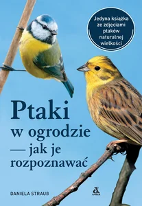 Miękka ze skrzydełkami · 2024