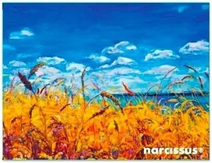Teczka kopertowa PP A6 Niebo Vista Narcissus grubość 28 mikronów, zamykane na zatrzask typu napa
