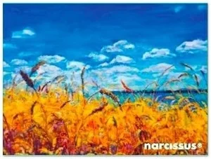 Teczka kopertowa PP A7 Niebo Vista Narcissus grubość 28 mikronów, zamykane na zatrzask typu napa