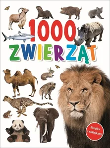 Miękka · 2024