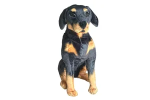 Rotweilleri siedzący 65cm