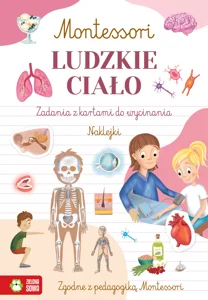 Montessori Ludzkie ciało Montessori Ludzkie ciało