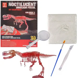 Wykopaliska paleontolog szkielet dinozaura Wykopaliska paleontolog szkielet dinozaura