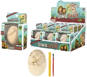 Wykopaliska paleontolog jajo dinozaura Wykopaliska paleontolog jajo dinozaura