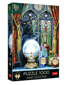 Puzzle 1000 Premium Plus Quality Magic Collection: Uczeń czarownicy