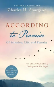 According to Promise Of Salvation, Life, and Eternity