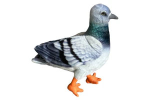 Gołąb niebieski 30cm