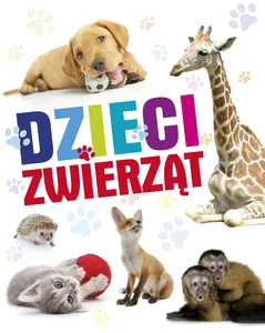 Miękka ze skrzydełkami · 2024