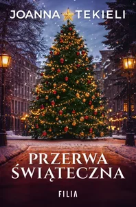 Przerwa świąteczna Przerwa świąteczna