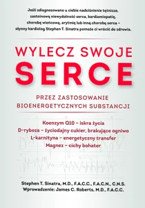 Wylecz swoje serce Wylecz swoje serce przez zastosowanie bioenergetycznych substancji
