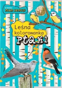 Ptaki Leśna kolorowanka