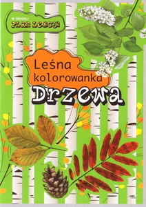 Drzewa. Leśna kolorowanka