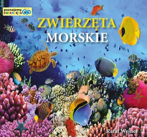 Zwierzęta morskie Poznajemy zwierzęta Zwierzęta morskie Poznajemy zwierzęta