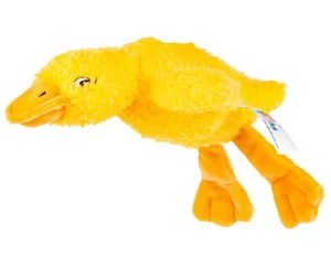 Sensoryczna Gęś żółta Sensoryczna Gęś żółta