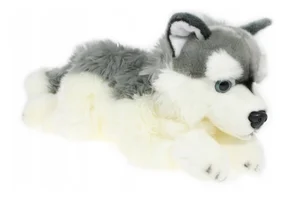 Pies Husky 42cm Pies Husky 42cm