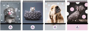 Kołonotes A6 96k. kratka zamykany na gumkę The Sweet Pets 1szt.mix