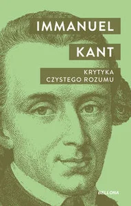 Krytyka czystego rozumu