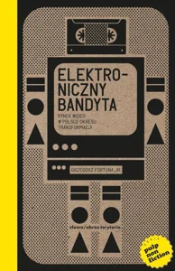 Elektroniczny bandyta. Rynek wideo w Polsce okresu transformacji