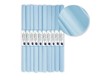 Bibuła marszczona nr 37 gołębi pastel (10szt) Bibuła marszczona nr 37 gołębi pastel (10szt)