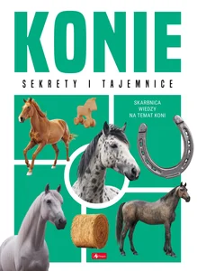 Konie Konie