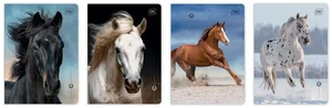 Zeszyt A5/16K 3kol linia UV Wild Horses (20szt)