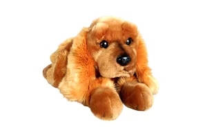 Pies Spaniel 62cm