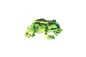 Żaba 28cm