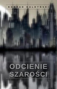 Odcienie szarości
