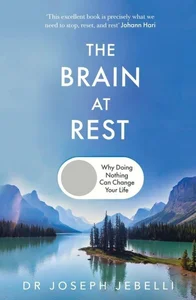 The Brain at Rest Why doing nothing can change your life