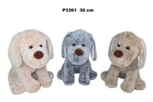 Pies 30cm MIX