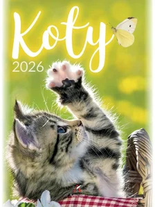 Kalendarz 2026 wieloplanszowy B4 Koty