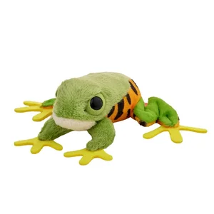 Żaba chwytnica moreleta 10cm Żaba chwytnica moreleta 10cm
