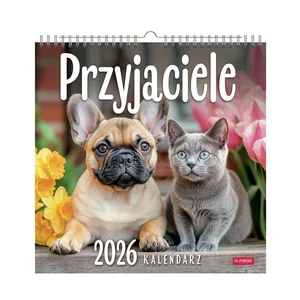Kalendarz 2026  Przyjaciele kwadrat ścienny