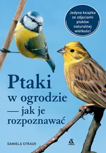 Ptaki w ogrodzie — jak je rozpoznawać Ptaki w ogrodzie — jak je rozpoznawać
