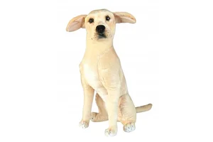 Pies Labrador 65cm Pies Labrador 65cm