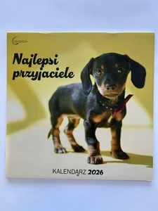 Kalendarz 2026 ścienny Najlepsi przyjaciele Psy