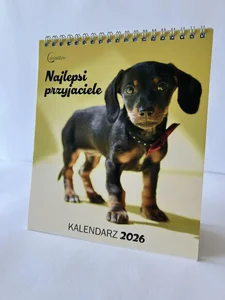 Kalendarz 2026 biurkowy Najlepsi przyjaciele Psy Kalendarz 2026 biurkowy Najlepsi przyjaciele Psy