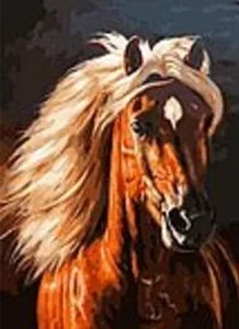 Mozaika diamentowa koń 40x50cm