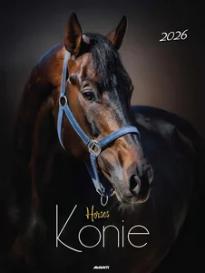 Kalendarz 2026 ścienny Konie