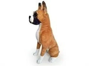 Pies Bokser 65cm