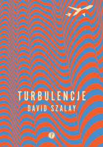 Turbulencje