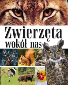 Zwierzęta wokół nas Encyklopedia dla dzieci