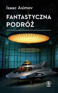 Torebka z kokardką