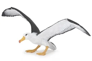 Albatros Albatros
