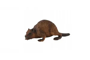 Bóbr