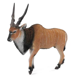 Antylopa wielka Eland XL Antylopa wielka Eland XL