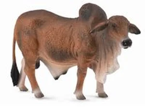 Byk czerwony brahman L Byk czerwony brahman L