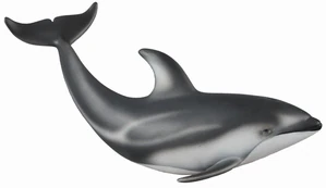Deflin pacyfic Deflin pacyfic